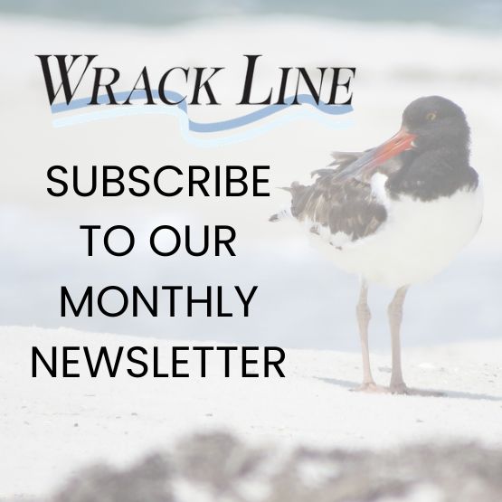Image of American oystercatcher with logo and wording