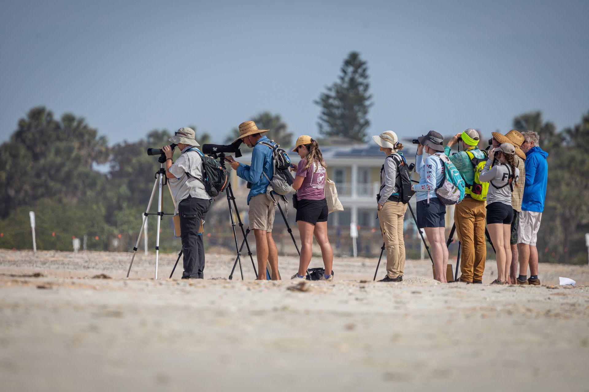 People observing shorebirds with scopes and binoculars